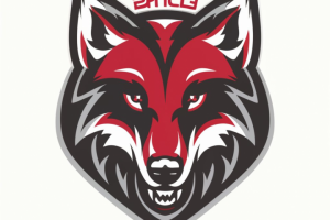 лого для хокеиной команды