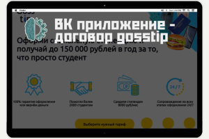 ВК приложение — договор gosstip