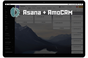 Интеграция Asana с AmoCRM