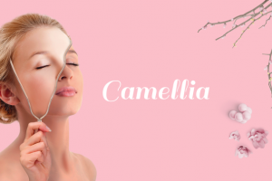 Дизайн упаковки для косметического бренда