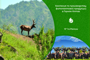 Квартальный календарь