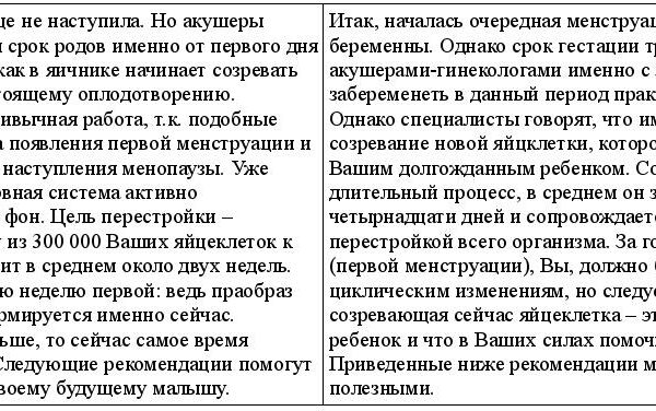 рерайт 3 24-11-09.jpg