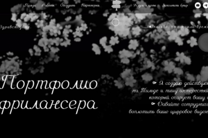 Мое портфолио