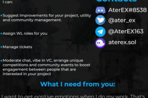 Онлайн резюме для зарубежной компании