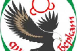 Работа 1070376