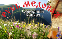 Работа 1071266