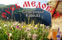 img1071266.png