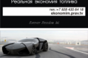 топливо визитка