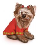 img150807.png