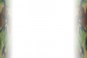 НР 23 февраля