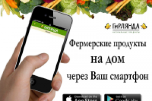 Баннер для магазина доставки