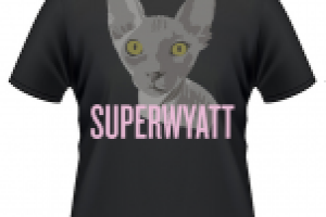 Разработка и отрисовка персонажа для футболок