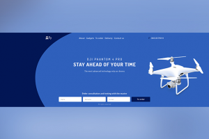 Продажа дронов