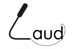 Звукозаписывающая компания "Laud"