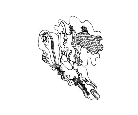 img3314082.png