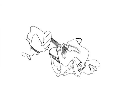 img3314077.png