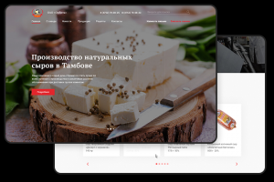 Дизайн сайта каталога "Орбита"