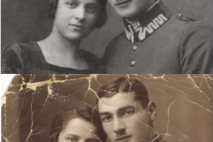 Работа 3178189