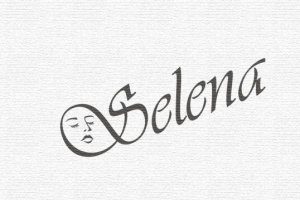 Разработка лого