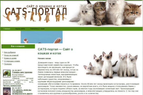 img4506229.png