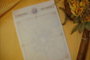 Бланк "Миротворцы"