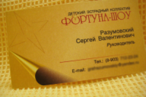 Визитка "Фортуна-Шоу"