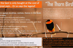 Постер по книге "Поющие в терновнике"