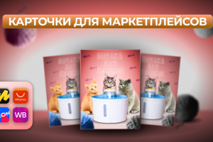 Инфографика