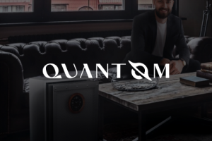 Логотип и сайт для бренда климатических станций Quantom