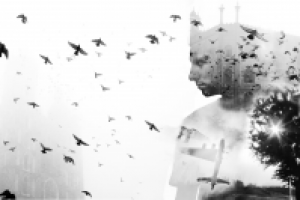 Видеосъёмка и монтаж