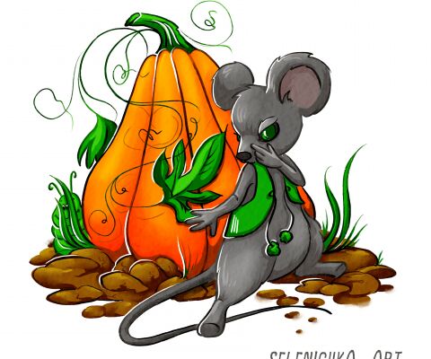 img4347675.png