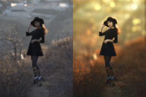 Обработка фото: ретушь, тонирование.