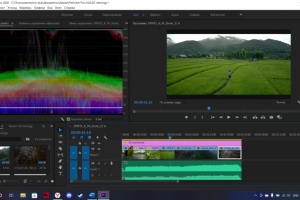Видео природы