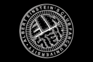 Университет клубного фарса имени А. Эйнштейна