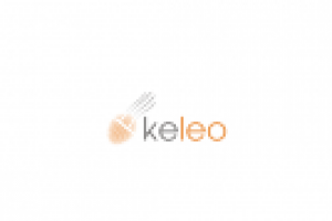 конкурсная работа "keleo"