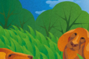 Рыжие сучки