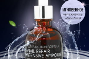 Инфографика