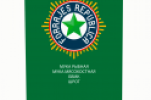 Разработка и изготовление раздаточных материалов для выставки