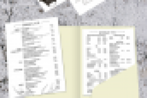 Логотип и элементы фирменного стиля