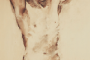 Работа 2103538