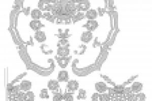 Отрисовка для музея - заповедника “Московский Кремль”