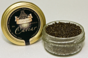 Работа 1015228