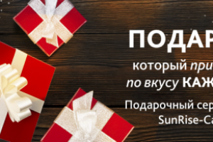 Работа 3860656