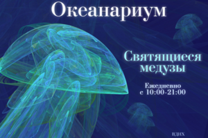 Баннер