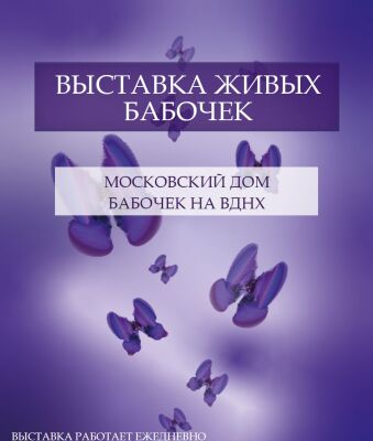 img4304910.png