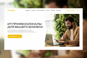ИТ-профессионалы для вашего бизнеса