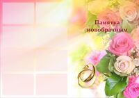 img1536683.png