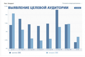 Выявление целевой аудитории