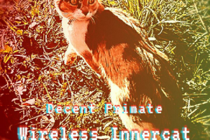 Wireless Innercat by Decent Primates