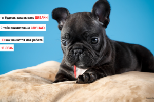 Будем работать или нет?